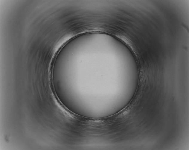X0000103481135200809120922