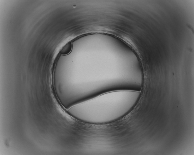 X0000103481136200809120922