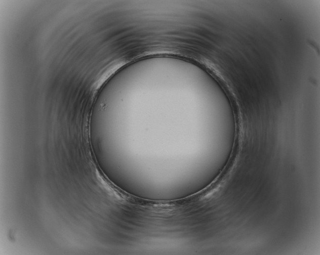 X0000103481137200809120922