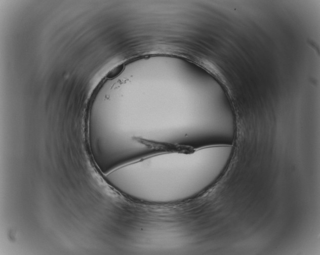 X0000103481138200809120922