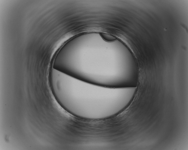 X0000103481139200809120922