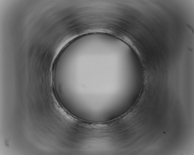 X0000103481140200809120922