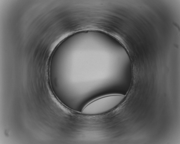 X0000103481142200809120922