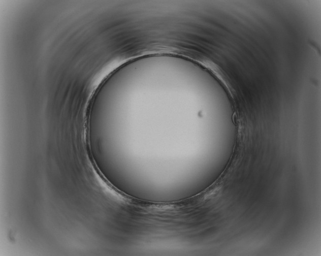 X0000103481143200809120922