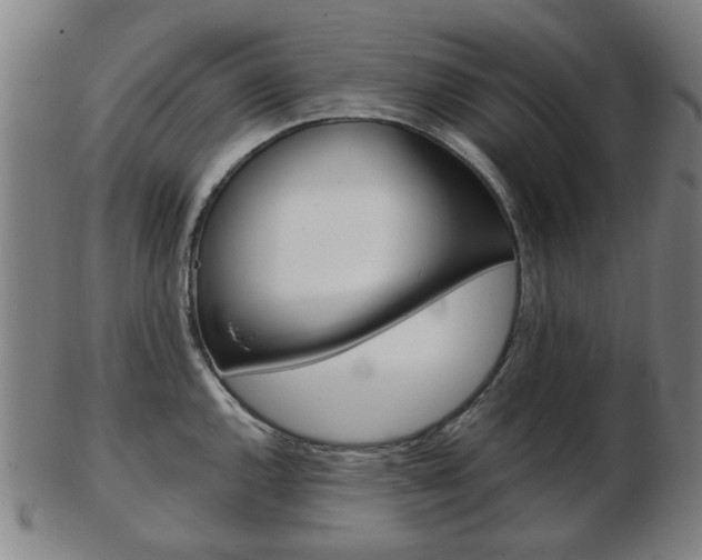 X0000103481144200809120922