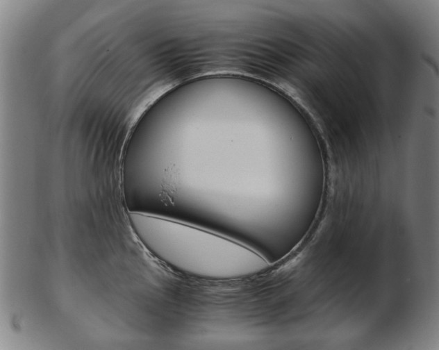X0000103481145200809120922