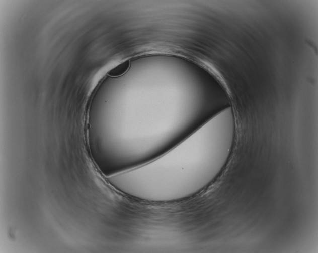 X0000103481146200809120922