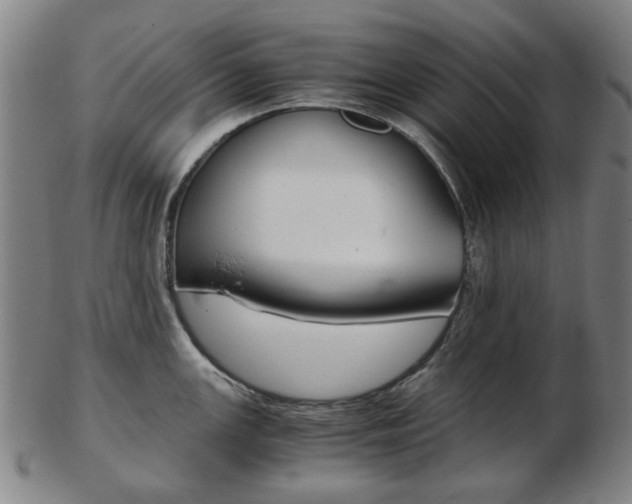 X0000103481147200809120922