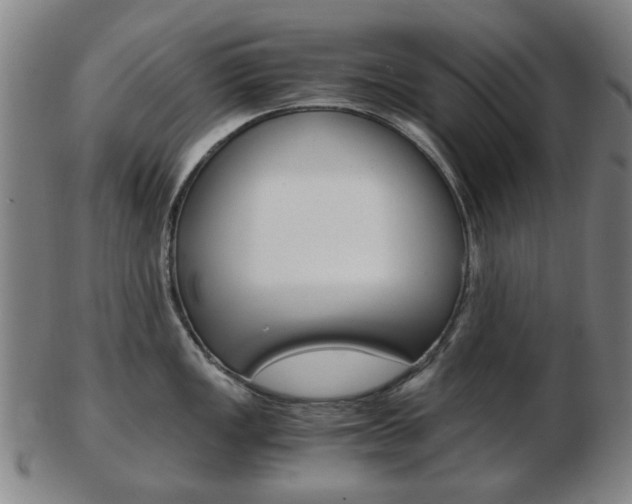 X0000103481149200809120922