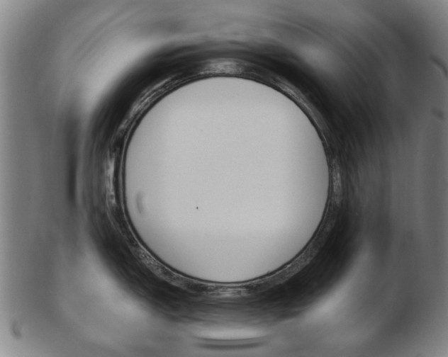 X0000103481150200809120922