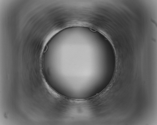 X0000103481152200809120922