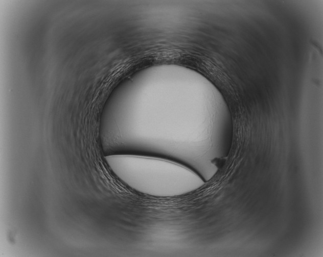 X0000103481153200809120922