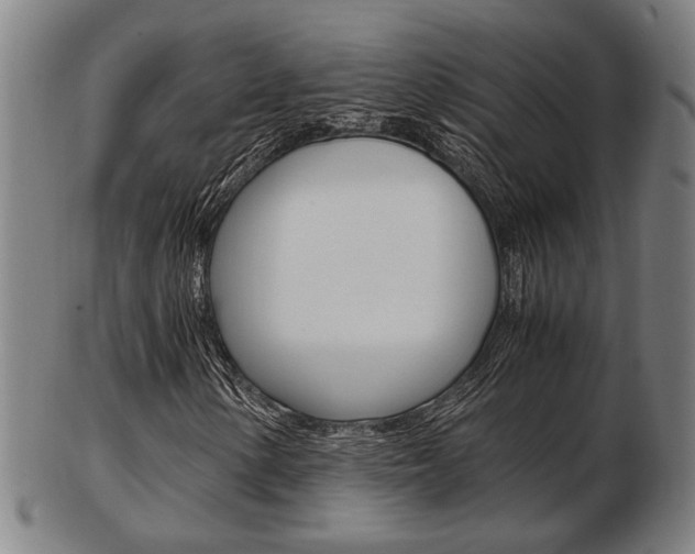 X0000103481154200809120922