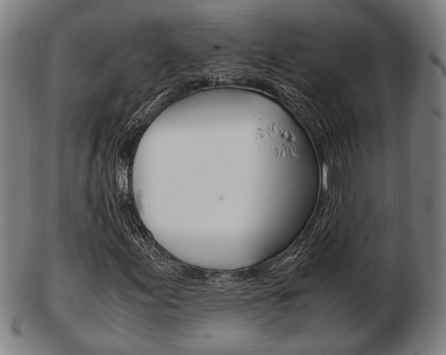 X0000103481155200809120922