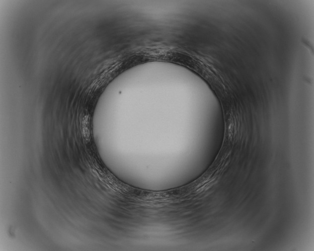 X0000103481156200809120922