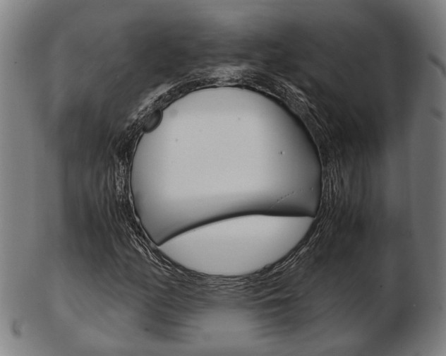 X0000103481158200809120922