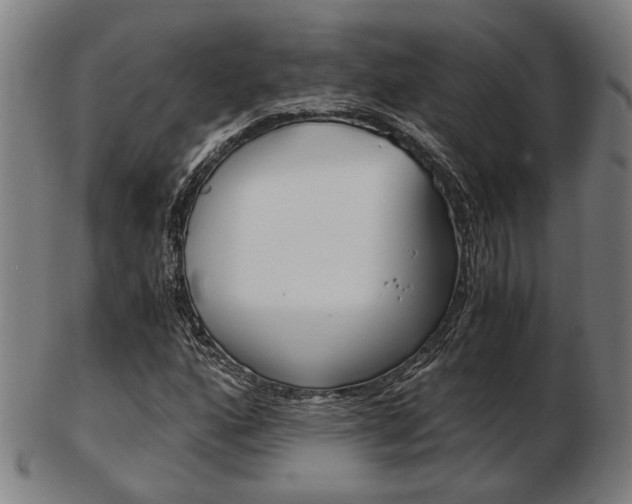 X0000103481160200809120922