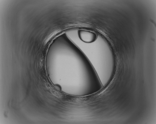 X0000103481163200809120922