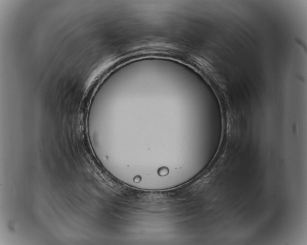 X0000103481164200809120922