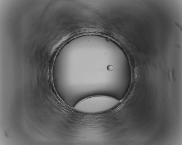 X0000103481165200809120921