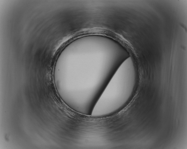 X0000103481166200809120921