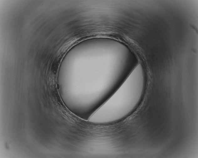 X0000103481169200809120921
