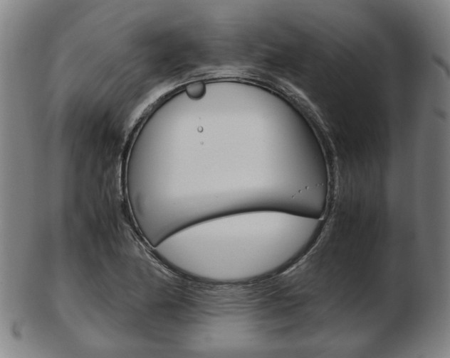 X0000103481174200809120921