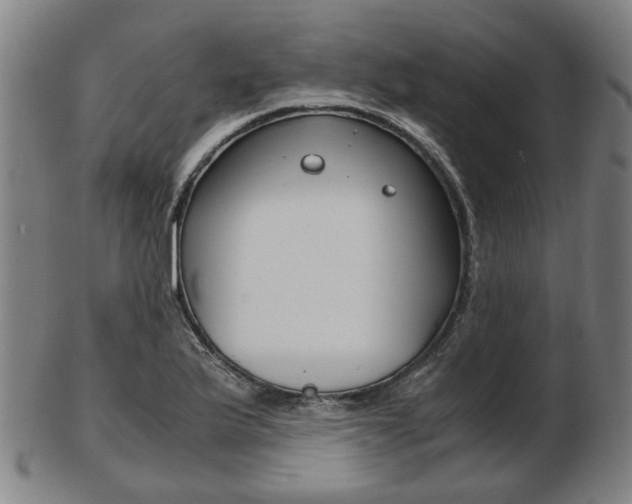 X0000103481175200809120921