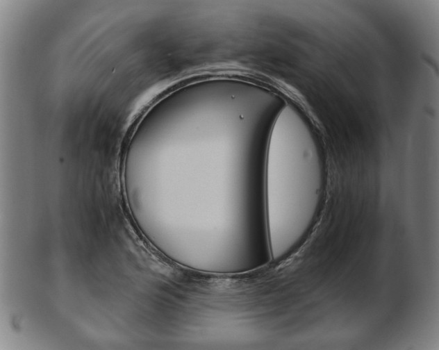 X0000103481176200809120921