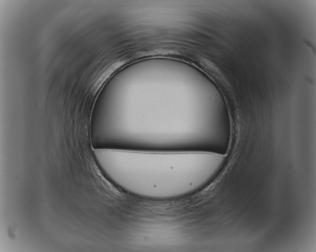 X0000103481177200809120921
