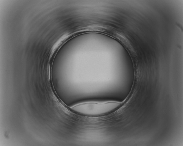 X0000103481180200809120921