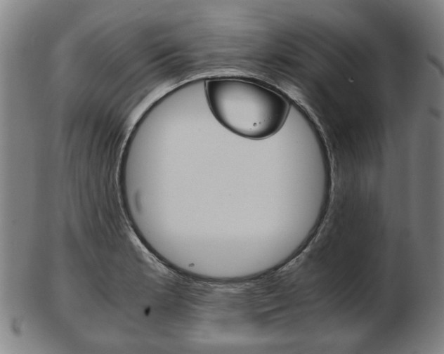 X0000103481181200809120921