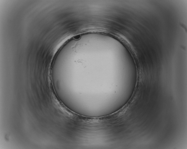 X0000103481182200809120921