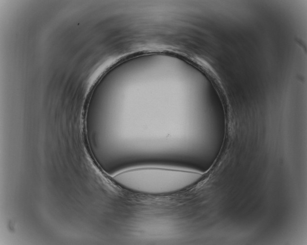 X0000103481183200809120921