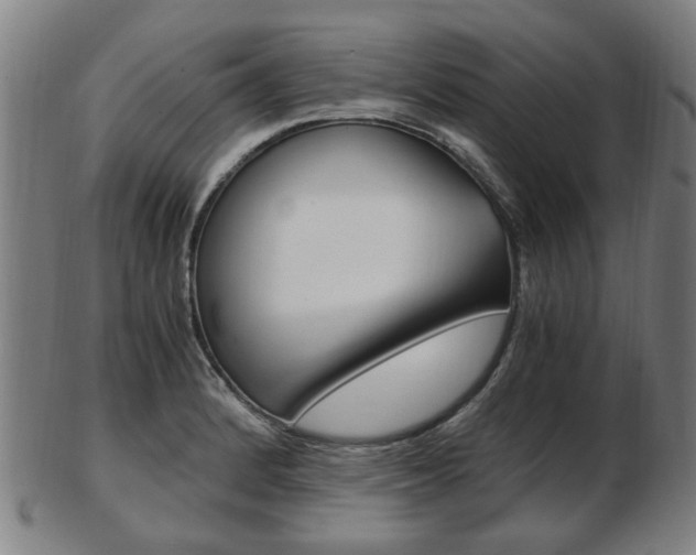 X0000103481184200809120921