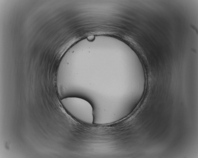 X0000103481185200809120921