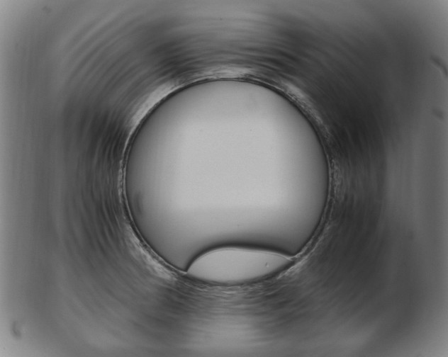 X0000103481186200809120921