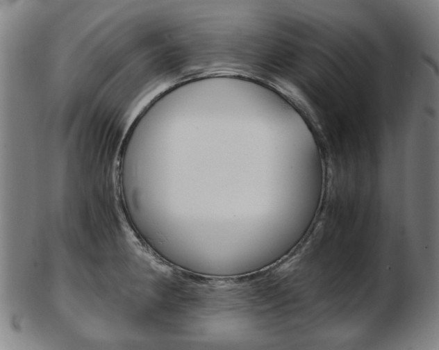 X0000103481190200809120921