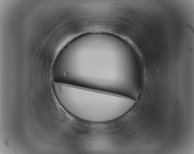 X0000103481191200809120921