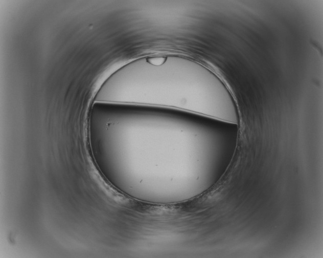 X0000103481195200809120921