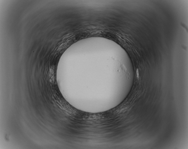 X0000103481203200809120920