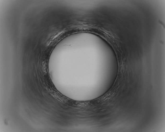 X0000103481205200809120920