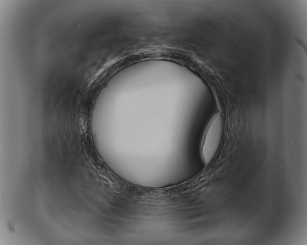 X0000103481206200809120920
