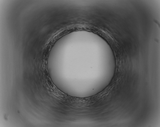 X0000103481207200809120920