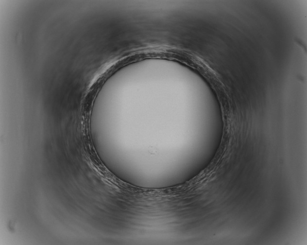 X0000103481208200809120920
