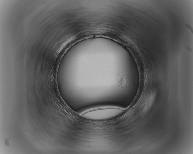 X0000103481210200809120920