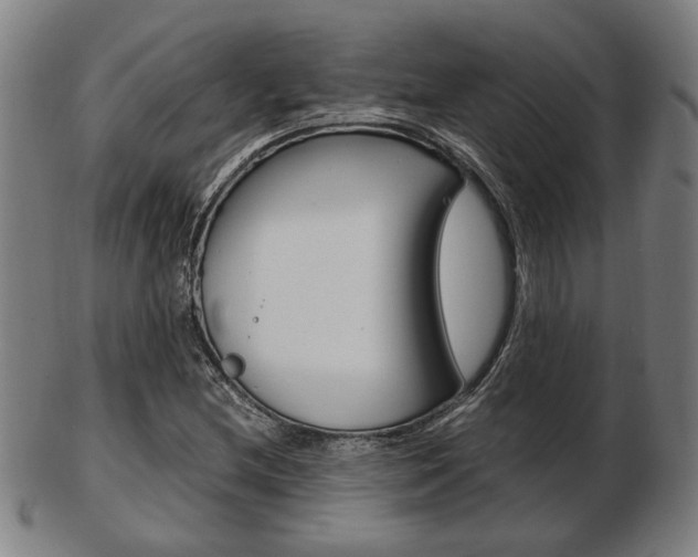 X0000103481212200809120921