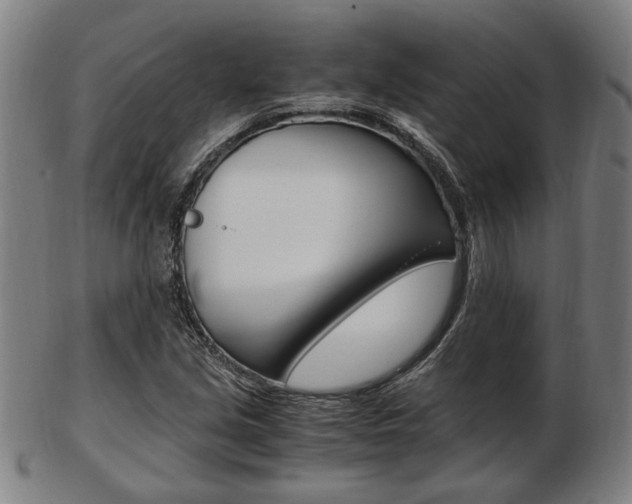 X0000103481213200809120921