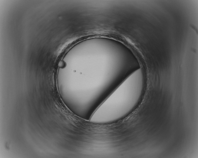 X0000103481214200809120921