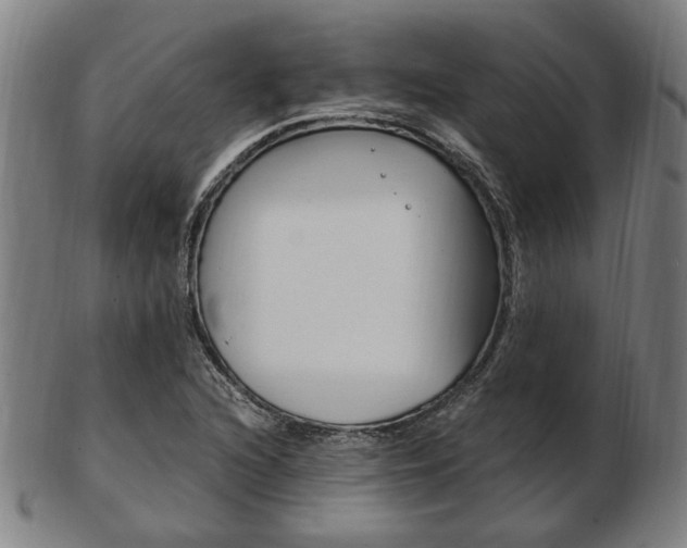 X0000103481216200809120921